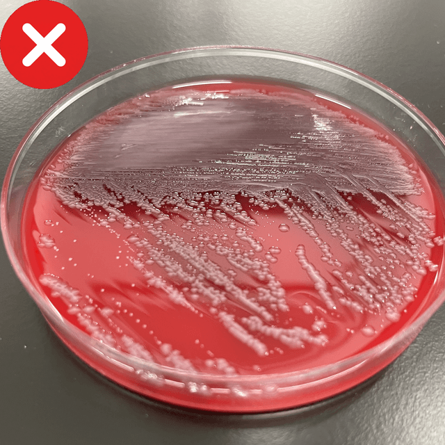 Incorrect angled photo