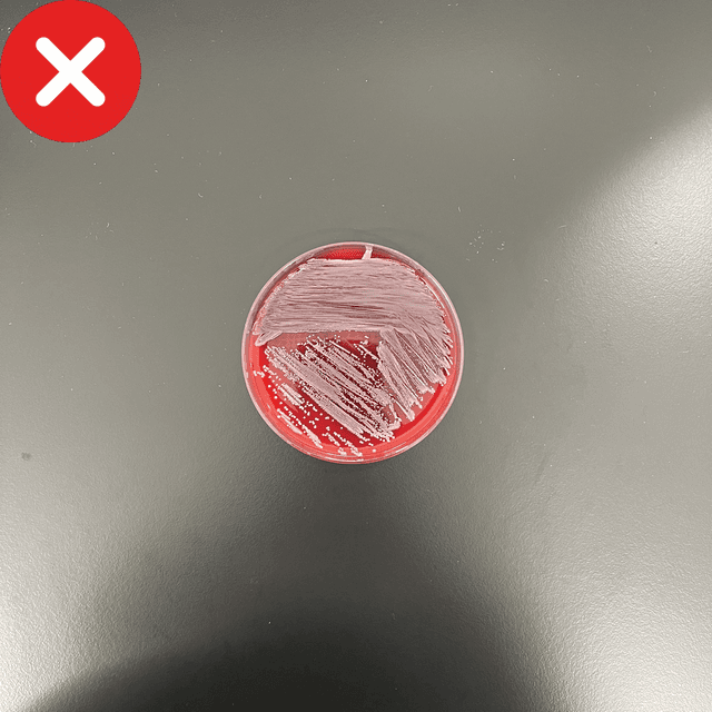 Incorrect example with a small subject