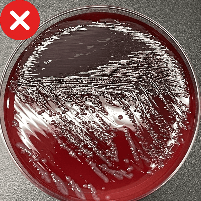 Incorrect reflective photo