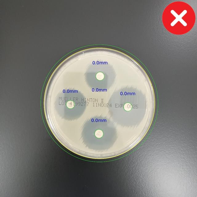 Incorrect Plate Orientation Example