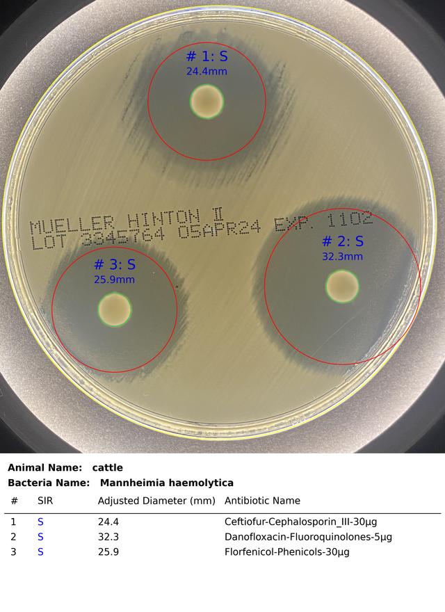 Sample Output Adjustment for ZOI-Pro