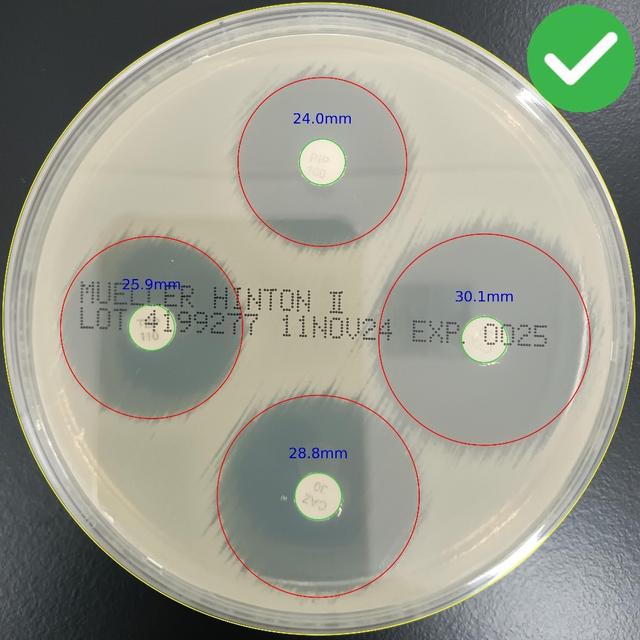 Correct Petri Dish Photo Example