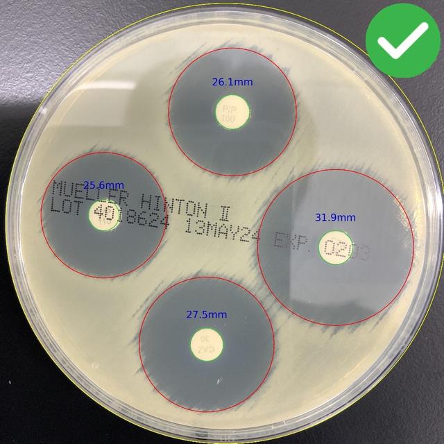 Photo without Light Reflection Example