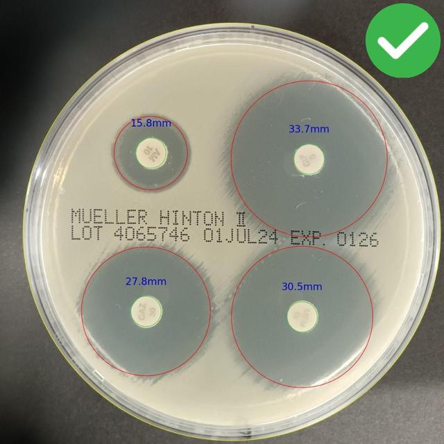 Correct Plate Orientation Example